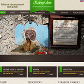 Portfolio Image 4